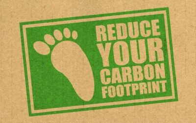 How to reduce your company’s carbon footprint.